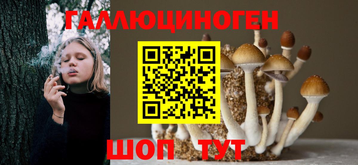 Псилоцибиновые грибы MAGIC MUSHROOMS Дубна
